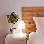 Orada Marina *